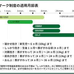 日本製　サンクマニエルプレール　新生児から使える5WAY抱っこひも　フラワーネイビーの画像