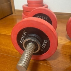 スポーツ フィットネス、トレーニングの画像