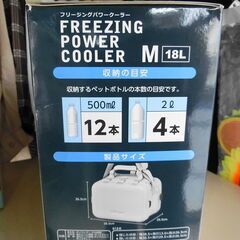 【おみせっち】残り1個❗ DOSHISHA オンドゾーン フリージングパワークーラー Mサイズ 18L クーラーボックスの画像