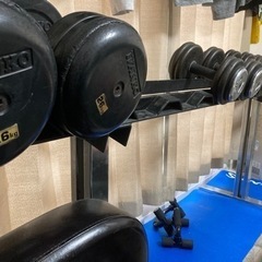 トレーニング、ダンベル、筋トレの画像