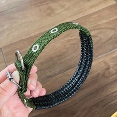 新品ペット用品　小型犬首輪の画像