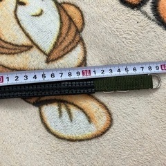 新品ペット用品　小型犬首輪の画像