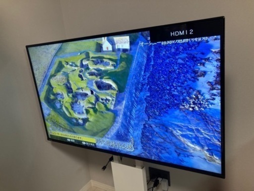 【投稿し直しました】50型　テレビ