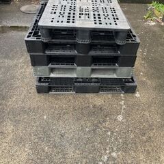 プラスチックパレット差し上げます⑧の画像