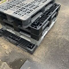 プラスチックパレット差し上げます⑧の画像
