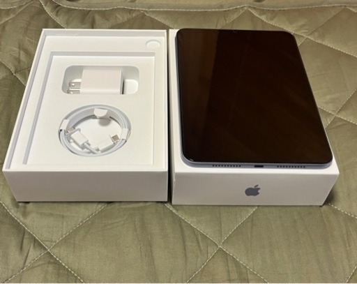 その他 iPad mini 256gb  wi-fi