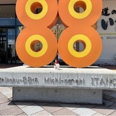 野外品　値下げ　クワガタ各種　200円から