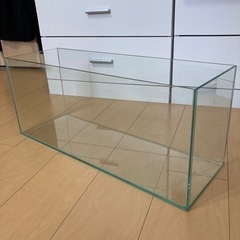 60cmスリム水槽の画像