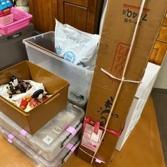 ひな壇セット