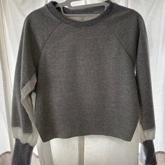 【SALE中】レディース洋服 上下セット Mサイズの画像