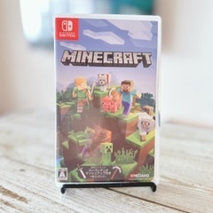 任天堂Switch  マイクラソフト