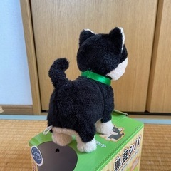 歩いてまねまね　黒豆シバの画像