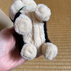 歩いてまねまね　黒豆シバの画像