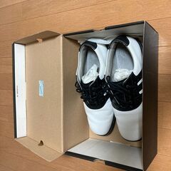 ２８ｃｍ　ゴルフシューズの画像