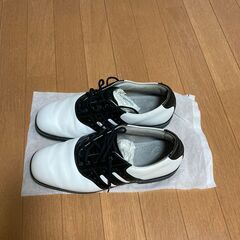 ２８ｃｍ　ゴルフシューズの画像