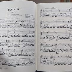 シューマン　ファンタジー　未使用　ヘンレ版の画像