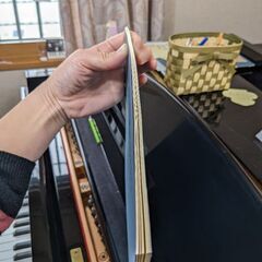 シューマン　ファンタジー　未使用　ヘンレ版の画像