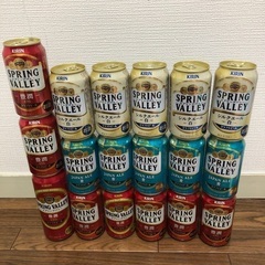 キリン スプリングバレー 豊潤 シルクエール 計18缶 ビール