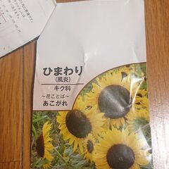 花の種 セット ◎