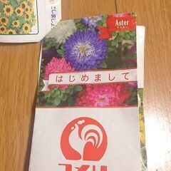花の種 セット ◎の画像