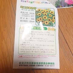 花の種 セット ◎の画像