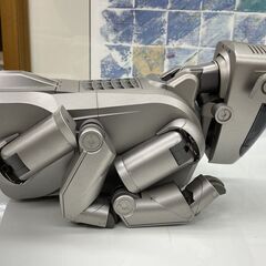 SONY AIBO アイボ ERS-110 初代モデル バッテリー×2/電源アダプター/メモリースティック(ERA-110M) ソニー 通電OK ジャンク扱い 札幌市の画像