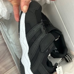 瞬足✖️グローバルワークコラボの画像