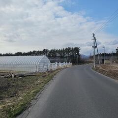 りんご薪を、無料配布します。の画像
