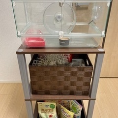 ハムスター  飼育セット一式 ケージ