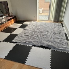 家具 カーペット/マット/ラグ   200×240 比較的美品