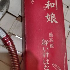 生け花鋏　平和娘の画像