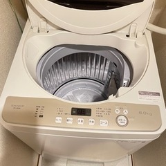 家電 生活家電 洗濯機