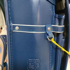 R5 Ross Lynch ピック R5 Ross Lynch ピック