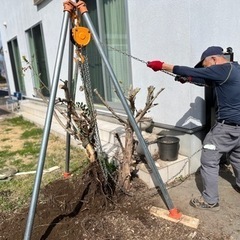 庭　草刈り　剪定　伐採　抜根　遊休土地　耕作休眠地　田んぼ - 地元のお店