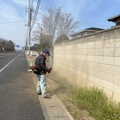 庭　草刈り　剪定　伐採　抜根　遊休土地　耕作休眠地　田んぼ - 剪定/造園