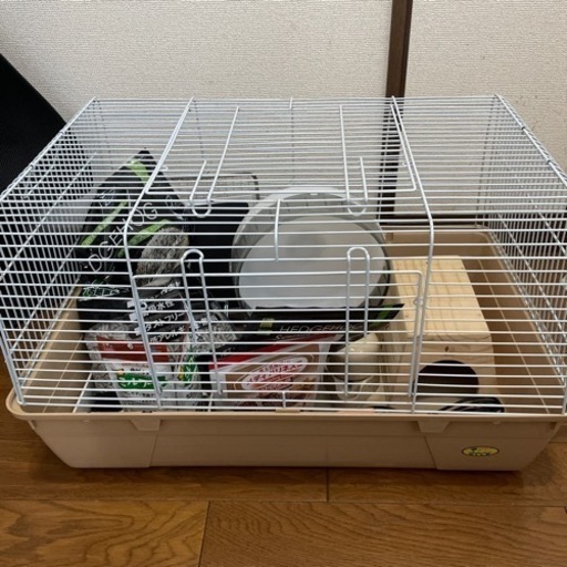 売り切れ終了　ハリネズミ飼育セット