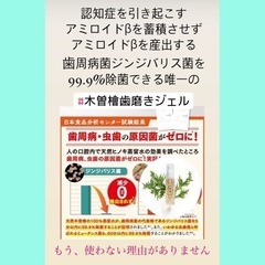 木曽檜歯磨きジェル　認知症予防にも - 地元のお店