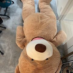 大きいくまのぬいぐるみの画像