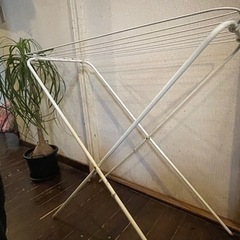 生活雑貨 洗濯用品 物干し竿、ロープの画像