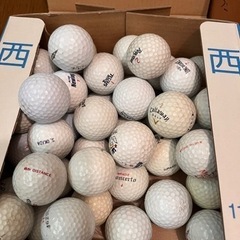 スポーツ ゴルフ