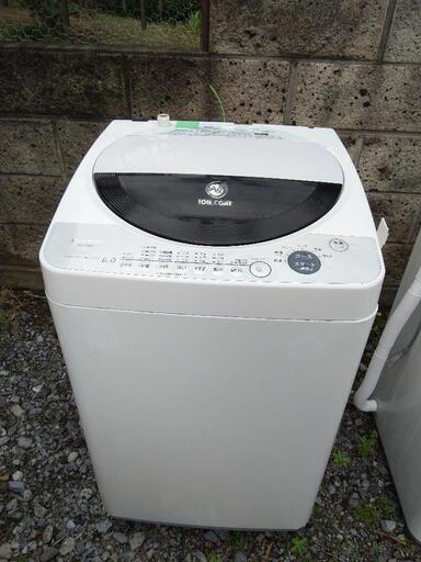 家電 生活家電 洗濯機
