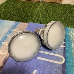 LEDioc LEDアイランプ  2個　岩崎電気(IWASAKI) 