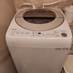 早い者勝ち！　洗濯機　9kg　SHARP ES-GV9F 2022年モデル