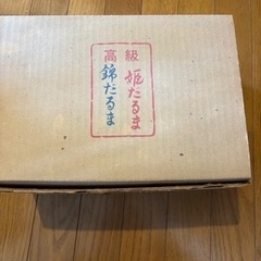 お人形の画像
