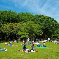 🚨⭐️満員御礼⭐️🚨！4/6＊代々木公園＊土曜日は「そうだ！のんびり都心で花見しよう♪♪😄⭐️』 - その他