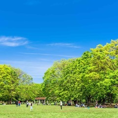 🚨⭐️満員御礼⭐️🚨！4/6＊代々木公園＊土曜日は「そうだ！のんびり都心で花見しよう♪♪😄⭐️』 − 東京都