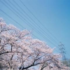 中央線の民の会☺️🌼