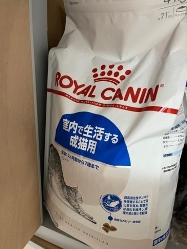 お話中12kg（4kg×3袋）ロイヤルカナン キャット インドア  猫用
