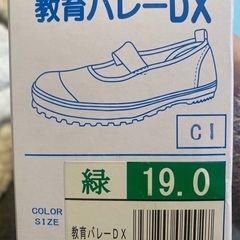 教育シューズDX