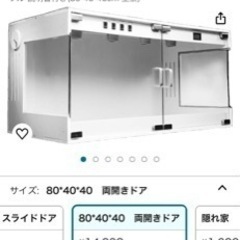 爬虫類ゲージ　　フトアゴヒゲトカゲ(再掲載)の画像